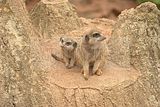 leipzig zoo-01_07_2011_zoo_allgemein_267
